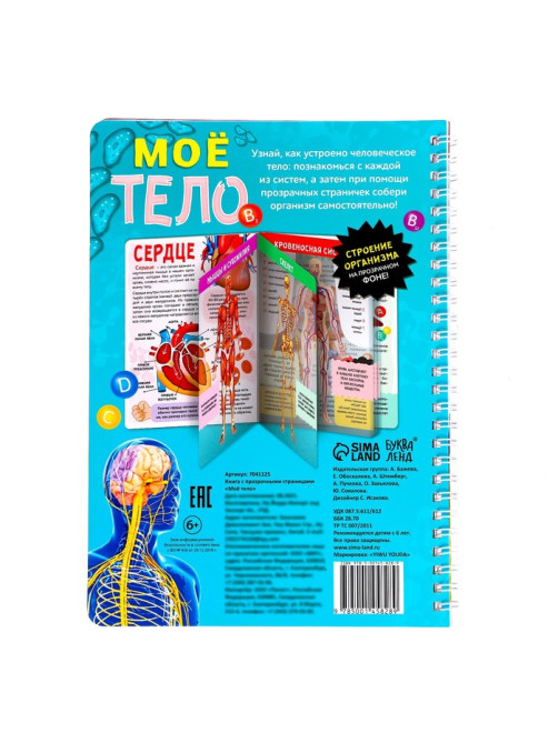 Энциклопедия с прозрачными страницами «Моё тело», 32 стр.