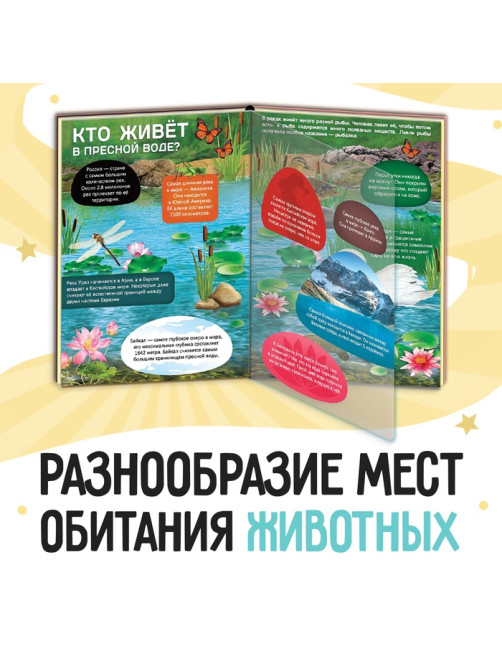 Энциклопедия с прозрачными страницами «Жизнь на земле. Животные и где они обитают», 30 стр.