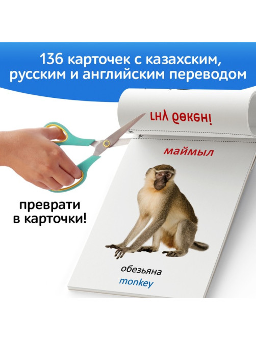Книги по методике Г. Домана на казахском языке, набор 8 шт.