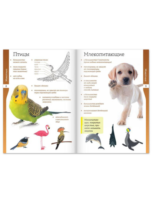 Книжки - шпаргалки «Мир природы и человека», набор 6 шт.