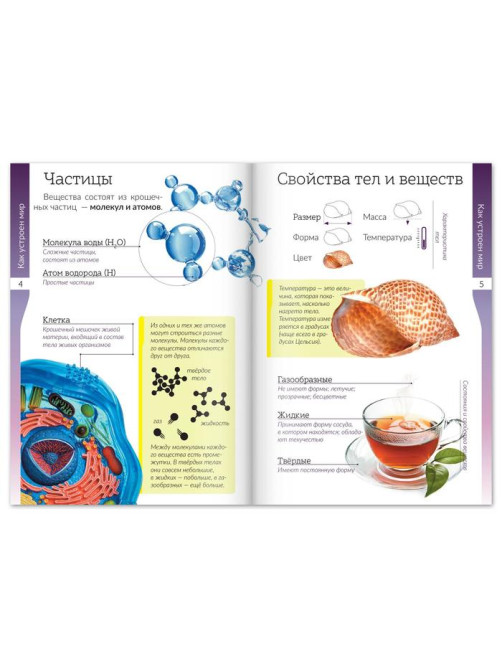 Книжки - шпаргалки «Мир природы и человека», набор 6 шт.