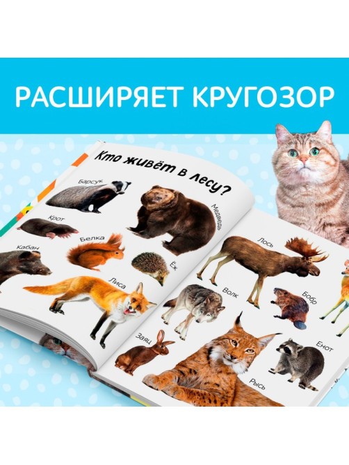 Книга в твёрдом переплёте «Первые 500 слов малыша», 80 стр.