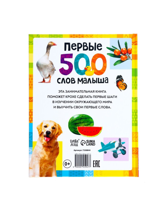 Книга в твёрдом переплёте «Первые 500 слов малыша», 80 стр.