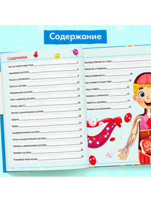 Энциклопедия в твёрдом переплёте «Тело человека», 48 стр.