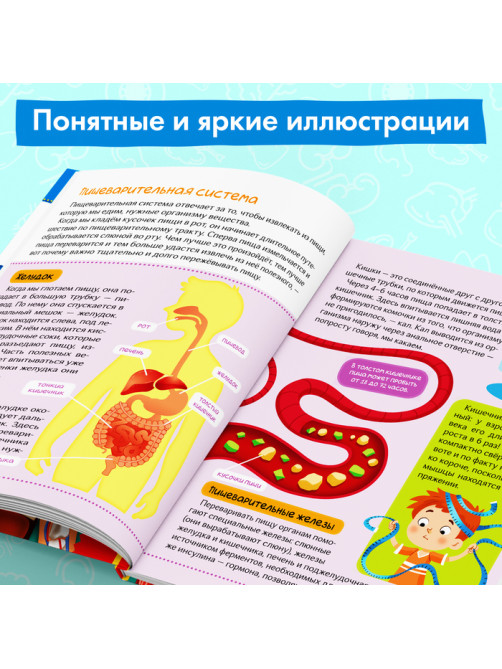 Энциклопедия в твёрдом переплёте «Тело человека», 48 стр.