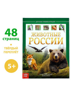 Энциклопедия детская в твёрдом переплёте «Животные России», 48 стр.
