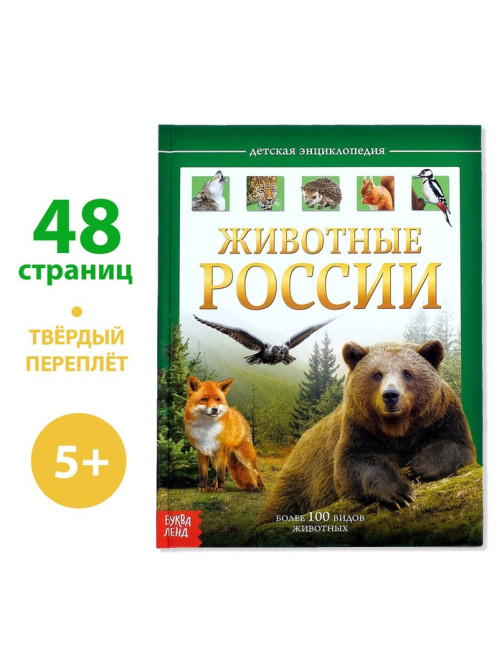 Энциклопедия детская в твёрдом переплёте «Животные России», 48 стр.