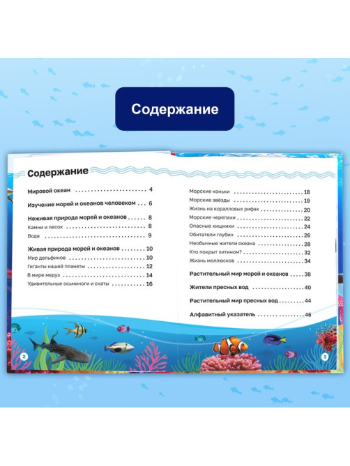 Энциклопедия в твёрдом переплёте «Подводный мир», 48 стр.