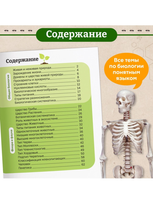 Энциклопедия в мягком переплёте «Биология для детей», 68 стр.
