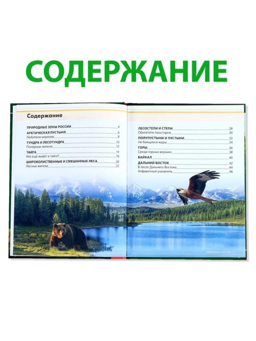 Энциклопедия детская в твёрдом переплёте «Животные России», 48 стр.