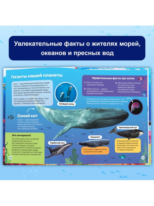 Энциклопедия в твёрдом переплёте «Подводный мир», 48 стр.