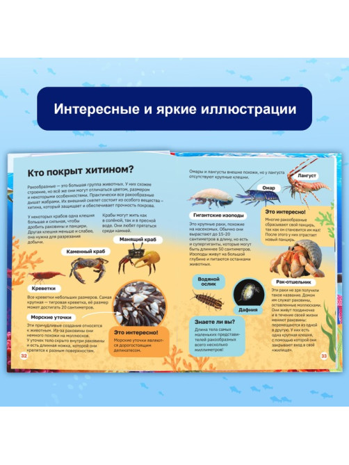 Энциклопедия в твёрдом переплёте «Подводный мир», 48 стр.
