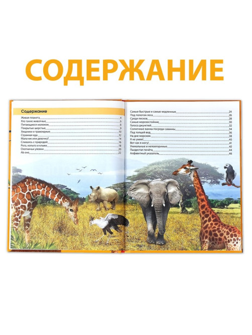 Энциклопедия «200 фактов о животных», 48 стр.