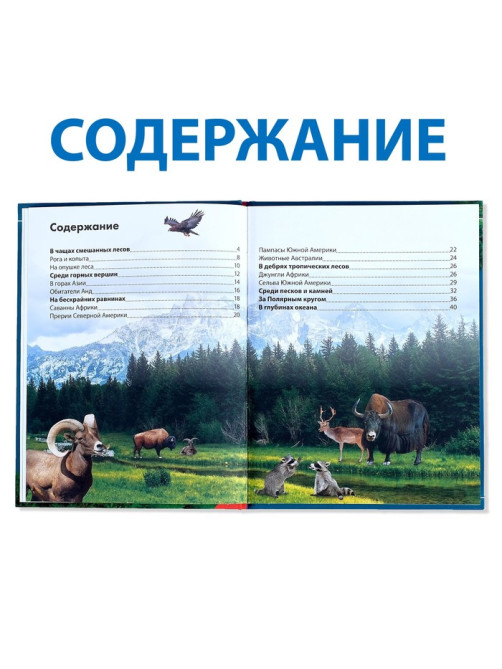 Энциклопедия детская в твёрдом переплёте «Животные», 48 стр.