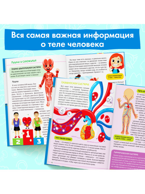 Энциклопедия в твёрдом переплёте «Тело человека», 48 стр.