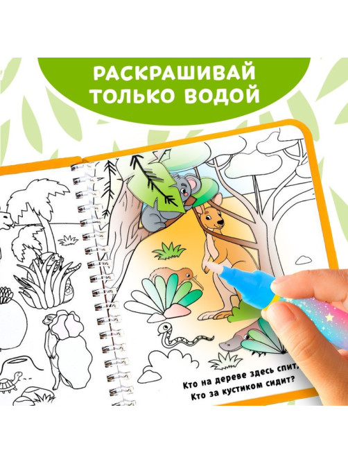 Книжка-раскраска многоразовая «Рисуем водой. Кто где спрятался?», 10 стр.