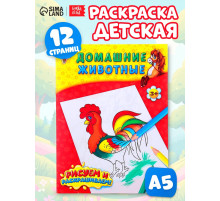 Раскраска детская «Домашние животные», 12 стр.