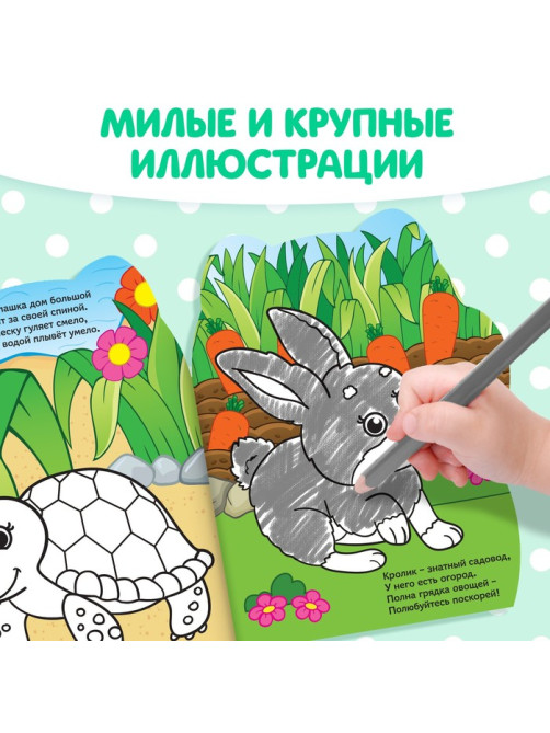 Раскраска детская «Котёнок», 12 стр., с наклейками