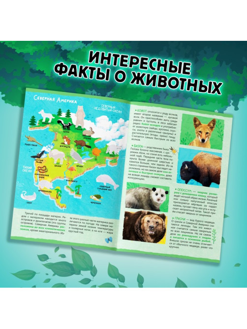 Мини - энциклопедия и пазл «Животные нашей планеты», обучающий набор, 88 элементов