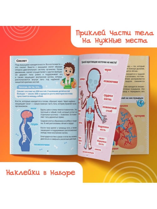 Наклейки «Как устроено моё тело», 16 стр.