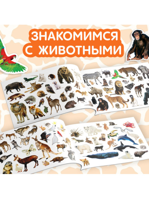 Наклейки детские «100 наклеек. Животные со всего света», 12 стр.
