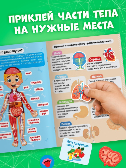 Наклейки «Секреты тела человека», 16 стр.