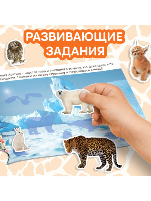 Наклейки детские «100 наклеек. Животные со всего света», 12 стр.