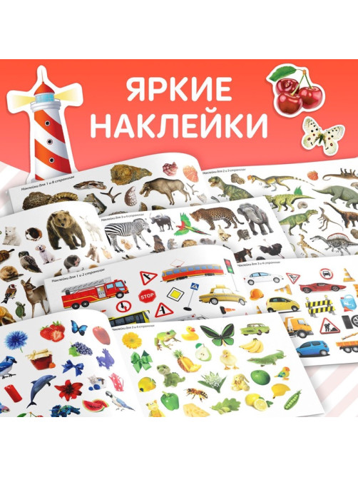 100 наклеек набор «Обучающие», 4 шт. по 12 стр.