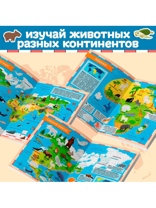 Книга с наклейками «Атлас животных», формат А4, 16 стр.