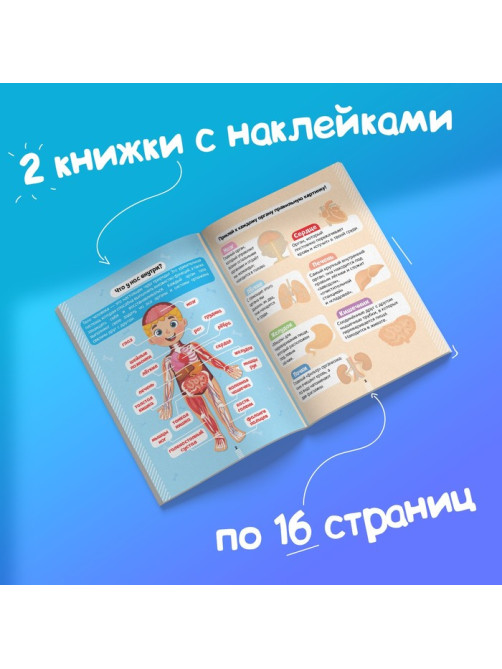 Наклейки «Тело человека», набор 2 шт. по 16 стр.