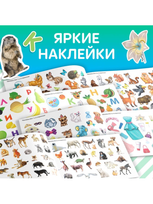 100 наклеек набор «Развивающие», 4 шт. по 12 стр.