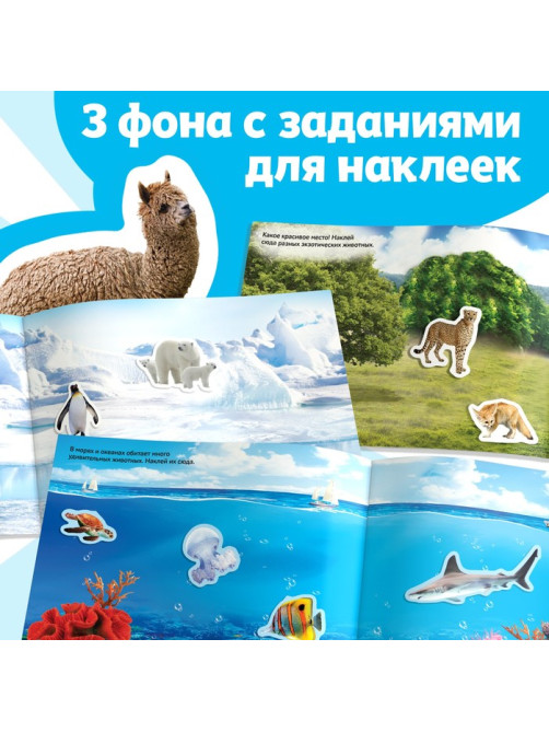 250 наклеек «Животные со всего света», 8 стр.