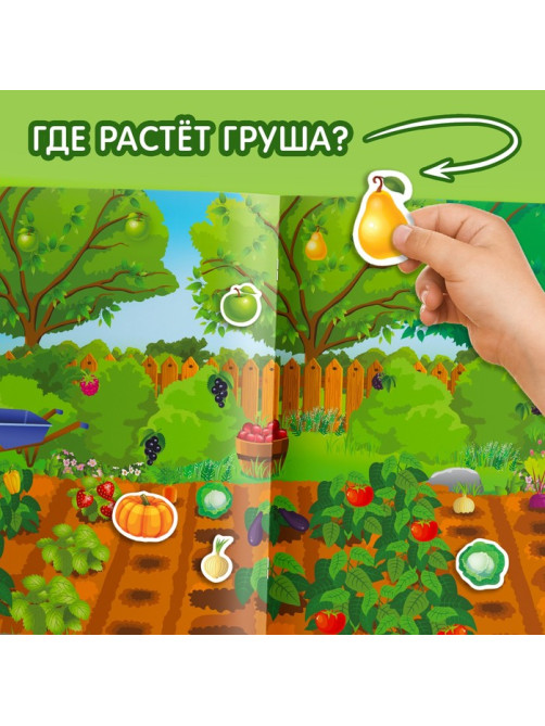 Наклейки многоразовые «Что где растёт», формат А4