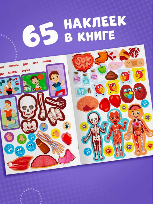 Наклейки «Как устроено моё тело», 16 стр.