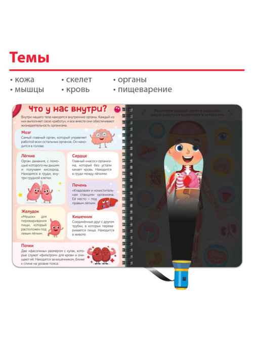 Умная книжка с фонариком «Моё тело». Свети и изучай, 30 стр.
