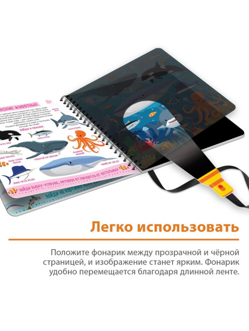 Секретная книга с волшебным фонариком «Зооленд», 22 стр.