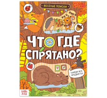 Книга найди и покажи «Что где спрятано? Весёлые поиски», 16 стр.