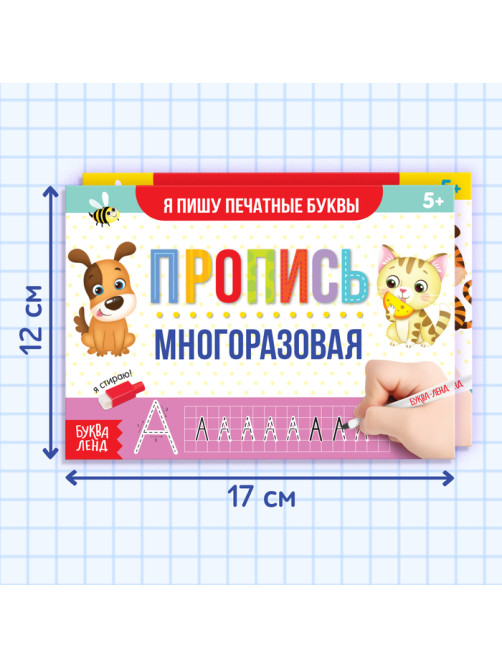 Прописи многоразовые «Напиши и сотри. Пишем буквы и цифры», набор 2 шт. по 12 стр.