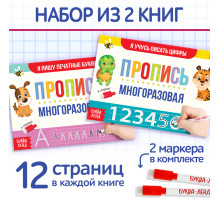 Прописи многоразовые «Напиши и сотри. Пишем буквы и цифры», набор 2 шт. по 12 стр.