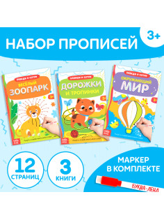 Книги многоразовые с маркером набор «Напиши и сотри. Готовим руку к письму №1», 3 шт. по 12 стр.