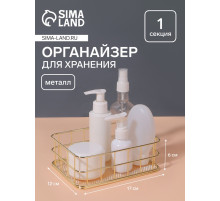 Органайзер для хранения косметических принадлежностей «РАФАЭЛЬ», 17×12×6 см, цвет золотистый