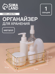 Органайзер для хранения косметических принадлежностей «РАФАЭЛЬ», 17×12×6 см, цвет золотистый