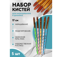 Набор кистей для наращивания и дизайна ногтей «Лепесток», 5 шт., 17 см, №4/6/8/10/12, разноцветный