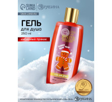 Гель для душа, 250 мл, аромат имбирного пряника, URAL LAB