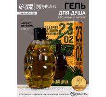 Гель для душа мужской «23 Февраля», 250 мл, аромат парфюма, HARD LINE