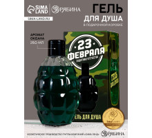 Гель для душа мужской «С 23 Февраля!», 250 мл, аромат океана, HARD LINE