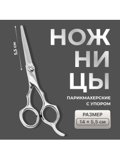 Ножницы парикмахерские с упором, лезвие — 5.5 см, серебристые