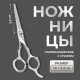 Ножницы парикмахерские с упором, лезвие — 5.5 см, серебристые