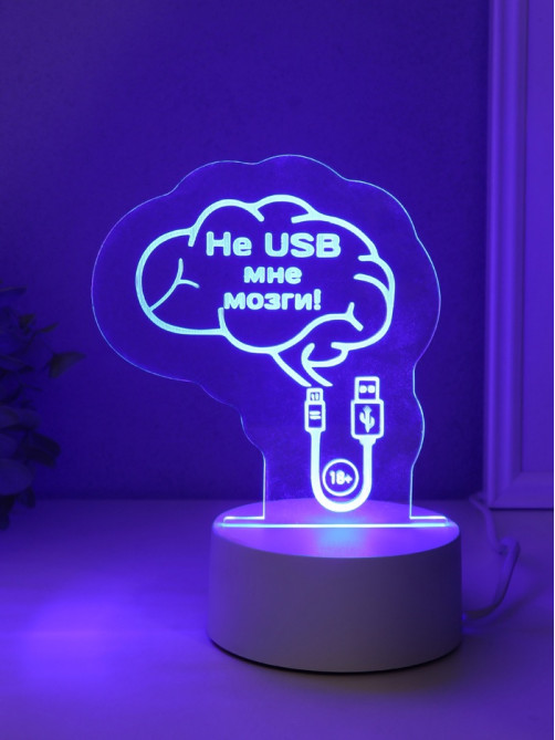 Светильник 3D RISALUX «Не USB мне мозги!», LED-ночник, RGB, от сети, 9.5×12×14.9 см