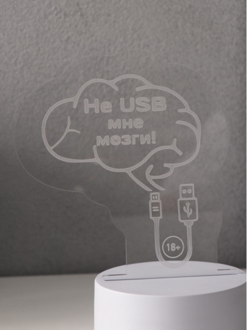 Светильник 3D RISALUX «Не USB мне мозги!», LED-ночник, RGB, от сети, 9.5×12×14.9 см